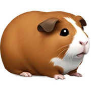 Brown guinea pig sticker