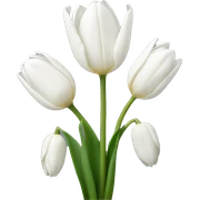 White tulips sticker