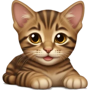 Brown tabby kitten laying sticker