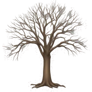 leafless tree sticker