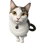 realistic cat portrait close up sticker