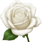 white rose sticker