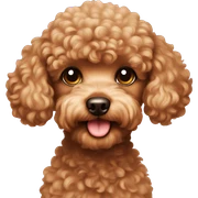 toy poodle sticker