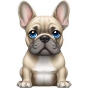  Grey and tan  French bulldog with blue eyes sticker