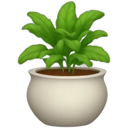pot sticker