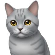 British shorthair cat sticker
