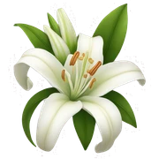 white lilies sticker