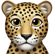 Leopard sticker