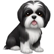 shih tzu black  sticker