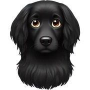 Black dog long hair sticker