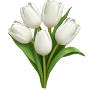 white tulip bouquet  sticker