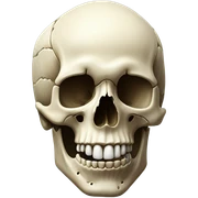 skull sticker