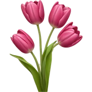 Tulips sticker