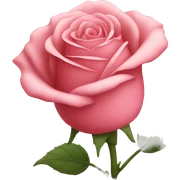 Rose  sticker