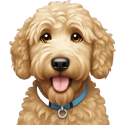 Goldendoodle  sticker