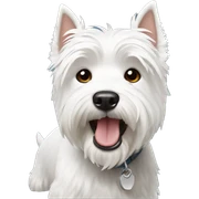 Westie sticker