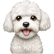 white maltipoo sticker