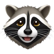 Raccoon sticker