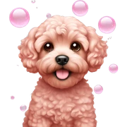 Red Maltipoo pastel pink soap bubbles  sticker