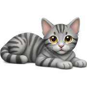 Gray tabby kitten laying sticker