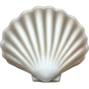 White pearl shell sticker