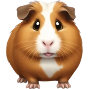 guinea pig sticker