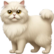 Persian cat sticker
