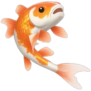 Koi  sticker