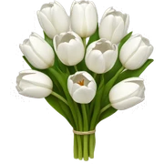 white tulip bouquet  sticker