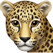 Leopard sticker