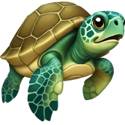 Sea turtle sticker