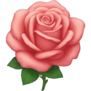 Rose sticker