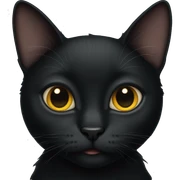 black cat sticker