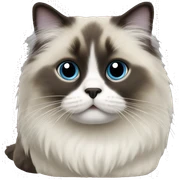 Sealpoint ragdoll sticker