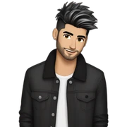 zayn malik sticker