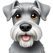 Schnauzer grey  sticker