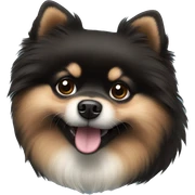 Little black pomeranian dog sticker