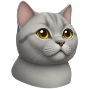 British shorthair cat sticker