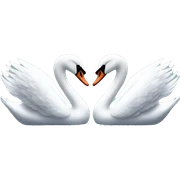 Swan couple sticker