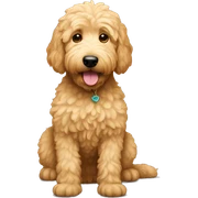 Golden Doodle sticker