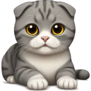 Scottish fold cat sticker
