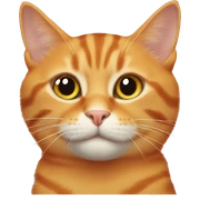 orange cat with a tabby cat sticker