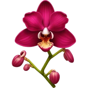 Red orchid sticker