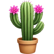 Pink cactus sticker