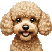Toy poodle  sticker