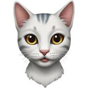 Tattoo cat  sticker