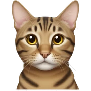 Tabby cat sticker