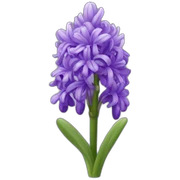 hyacinth flower sticker