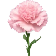 Carnation "A pastel pink carnation with frilled, glowing edges, surrounded by tiny glittering particles and a soft, dreamy aura." sticker