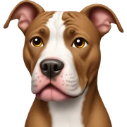 Pitbull  sticker